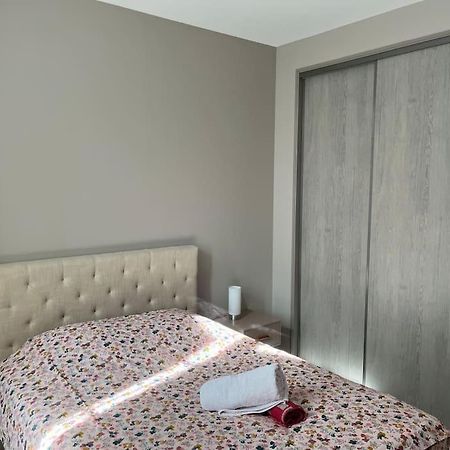 Superbe Appartement Plein Centre Millau Luaran gambar