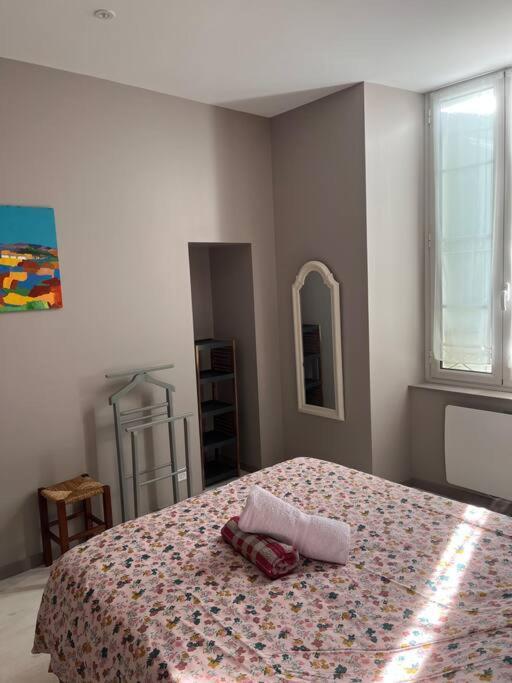 Superbe Appartement Plein Centre Millau Luaran gambar