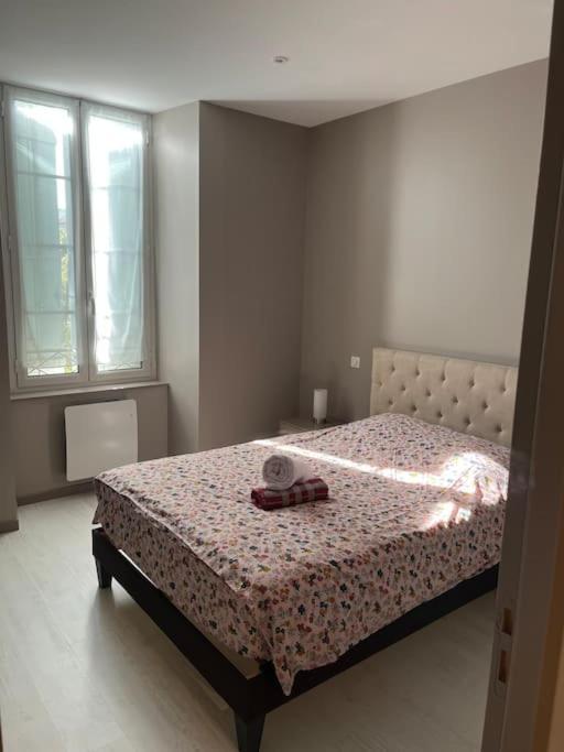 Superbe Appartement Plein Centre Millau Luaran gambar