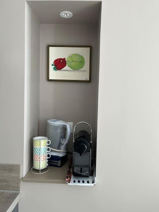 Superbe Appartement Plein Centre Millau Luaran gambar
