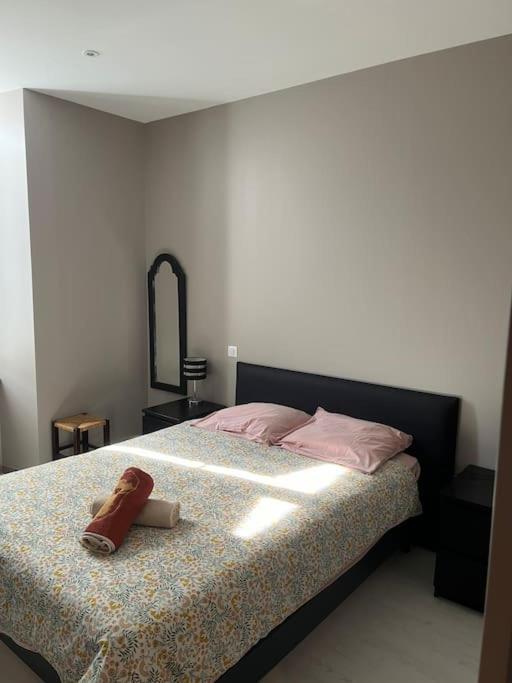 Superbe Appartement Plein Centre Millau Luaran gambar