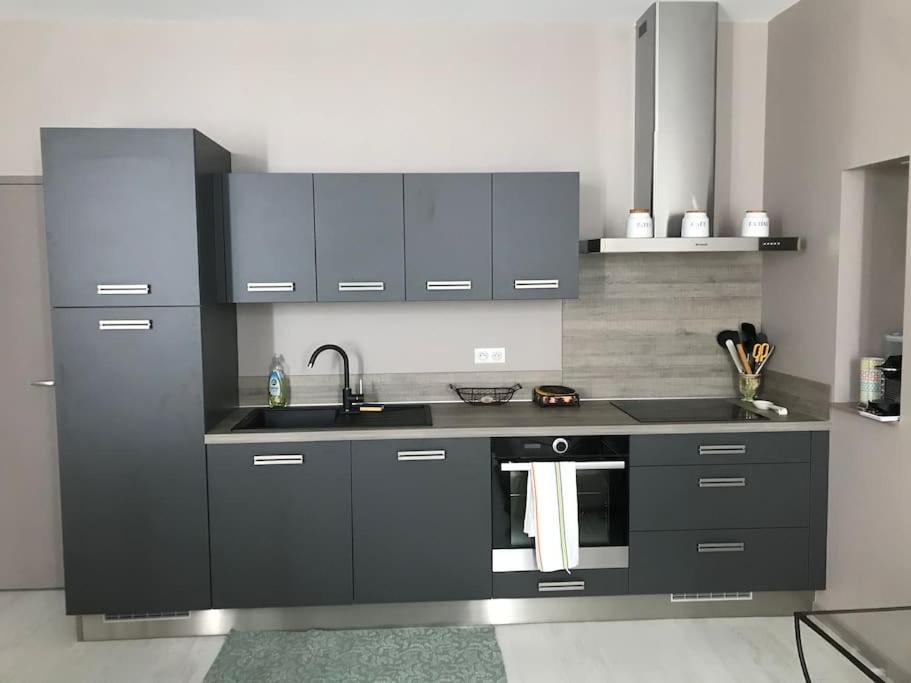 Superbe Appartement Plein Centre Millau Luaran gambar