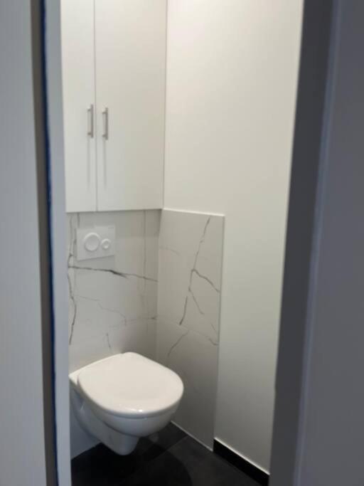 Superbe Appartement Plein Centre Millau Luaran gambar