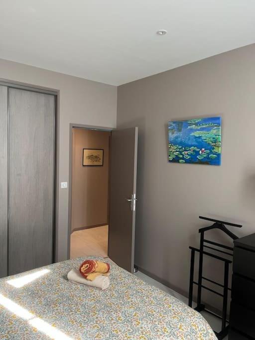 Superbe Appartement Plein Centre Millau Luaran gambar