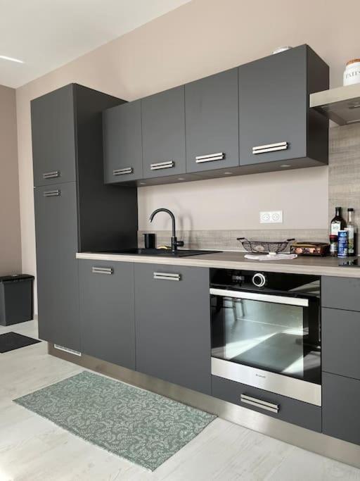 Superbe Appartement Plein Centre Millau Luaran gambar